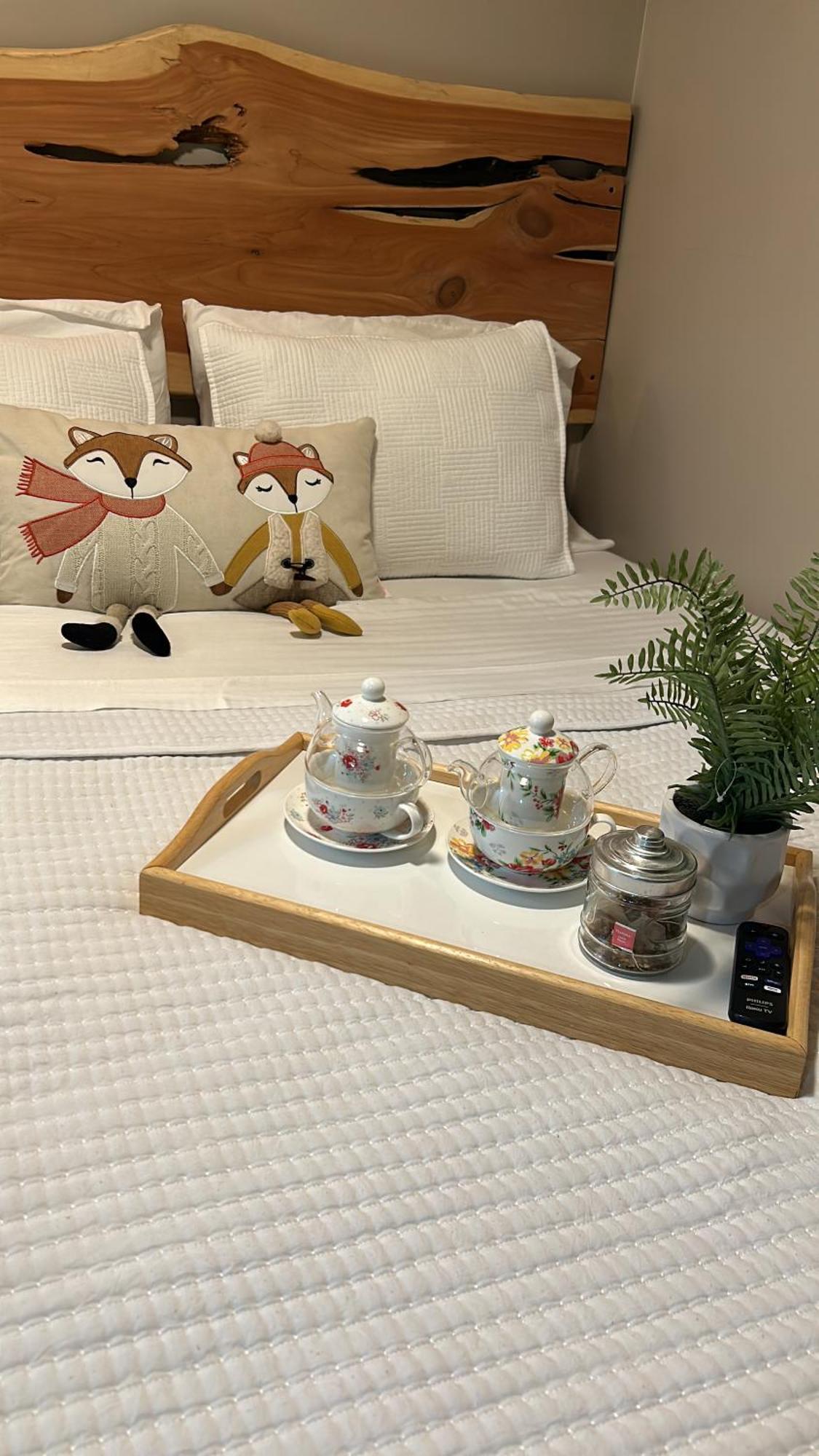 Sweet Tiny Cabin Тампа Экстерьер фото